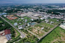 Chủ tịch Hội Nông dân tỉnh Đồng Nai bị đề nghị kỷ luật