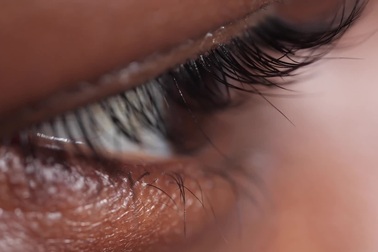 Loài sinh vật dài 3mm hàng đêm vẫn “bơi” và giao phối trên mặt chúng ta