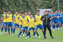 HLV Philippe Troussier tạm chia tay tuyển Việt Nam trong 3 tháng