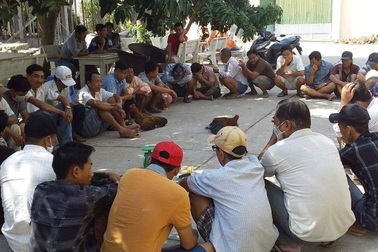 Bắt giữ 32 đối tượng đá gà ăn tiền