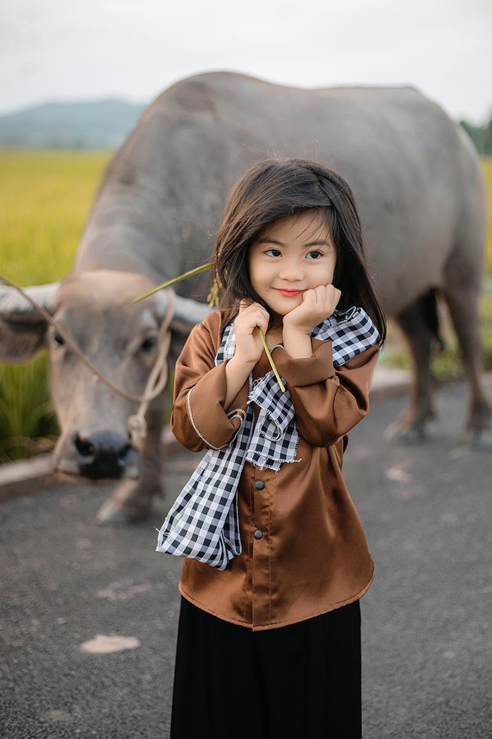 Bé gái xinh như thiên thần trên cánh đồng mùa lúa trổ bông - 6 Bé gái xinh như thiên thần trên cánh đồng mùa lúa trổ bông - 6
