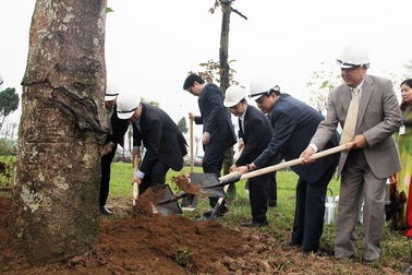 Hà Nội trồng gần nửa triệu cây xanh năm 2017