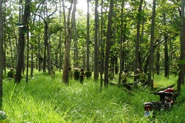 Kiểm lâm nổ súng cảnh cáo, một lâm tặc bị thương   