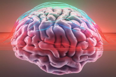 5 cách để bạn có một bộ não khỏe mạnh