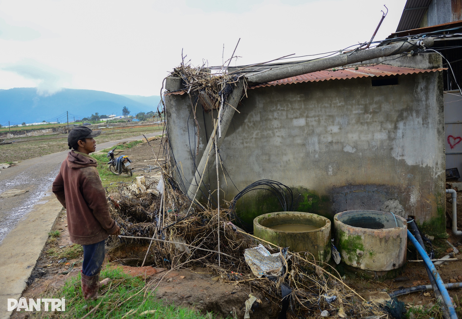 Lũ lịch sử cuốn phăng “thủ phủ” rau Lâm Đồng, đồng ruộng hoang lạnh - 6 Lũ lịch sử cuốn phăng “thủ phủ” rau Lâm Đồng, đồng ruộng hoang lạnh - 6