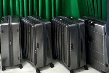 Phát hiện 4 vali chứa hơn 180.000 con tôm hùm giống ở sân bay