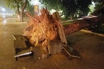 Miền Trung mưa lớn xối xả, mất điện diện rộng nhiều nơi