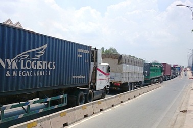 Xây cầu 800 tỷ đồng để giảm tắc đường vào cảng Cát Lái