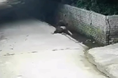 Cậu bé ở Nghệ An hô hoán cứu em ngã xuống mương