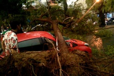 Mưa giông lớn "càn quét" Hà Nội, cây xanh đổ la liệt, giao thông hỗn loạn