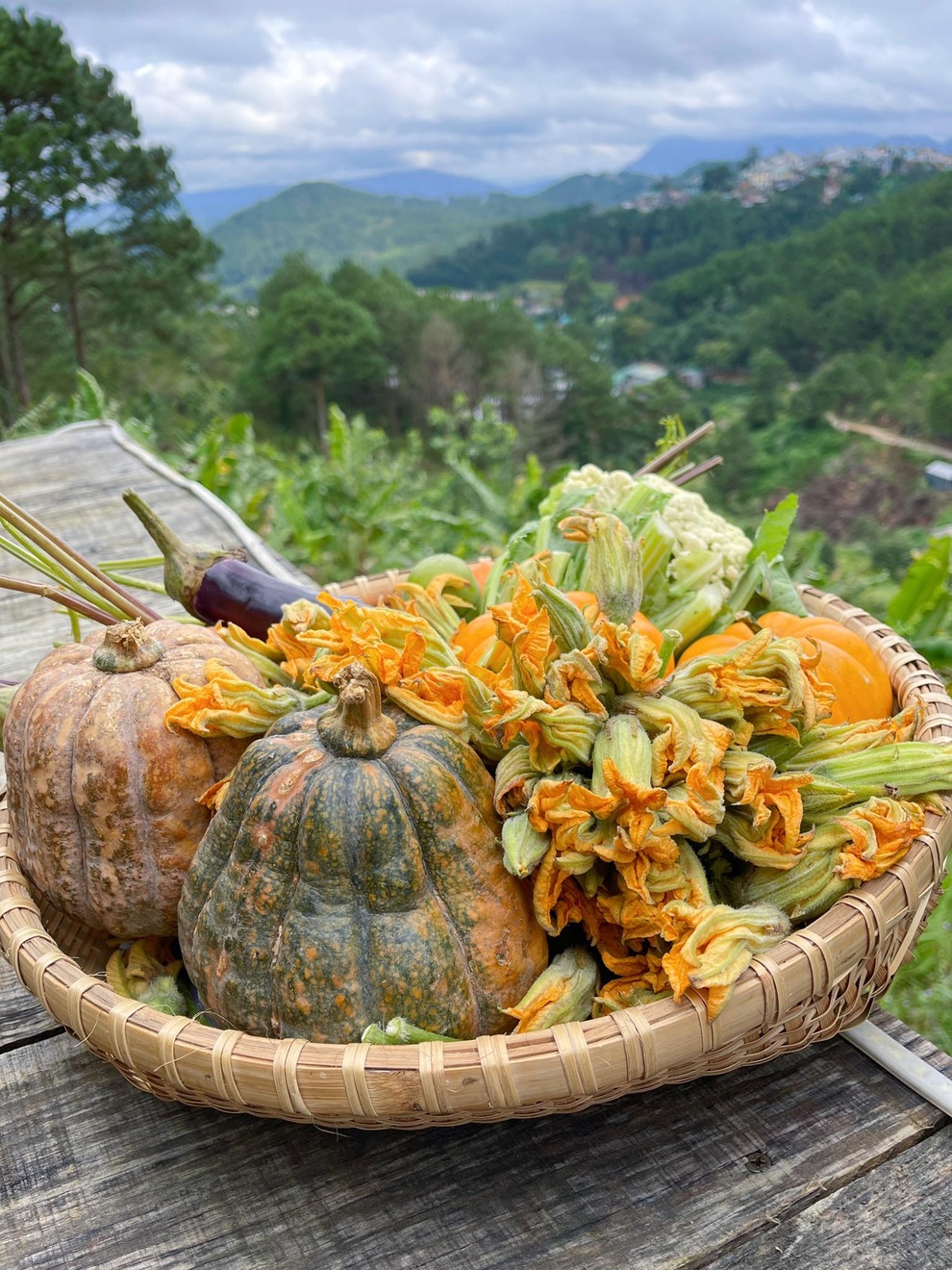 Cơ thể bạn thay đổi ra sao nếu ăn bí ngô mỗi ngày? - 1 Cơ thể bạn thay đổi ra sao nếu ăn bí ngô mỗi ngày? - 1