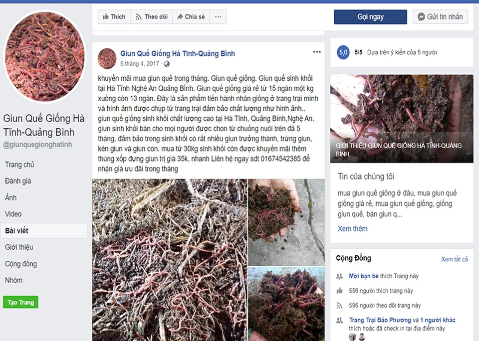Bán giun quế trên Facebook, chị nông dân kiếm trăm triệu đồng - 5 Bán giun quế trên Facebook, chị nông dân kiếm trăm triệu đồng - 5