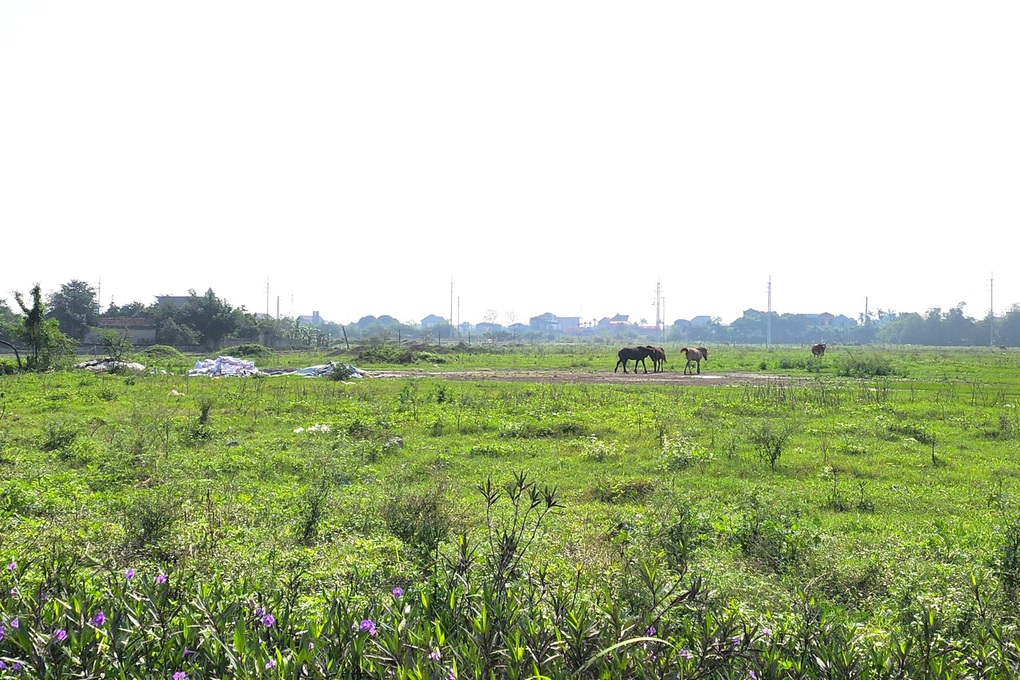Thanh tra Chính phủ điểm mặt loạt sai phạm tại KCN ở Ninh Bình - 4 Thanh tra Chính phủ điểm mặt loạt sai phạm tại KCN ở Ninh Bình - 4