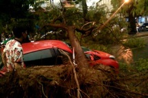 Mưa giông lớn "càn quét" Hà Nội, cây xanh đổ la liệt, giao thông hỗn loạn