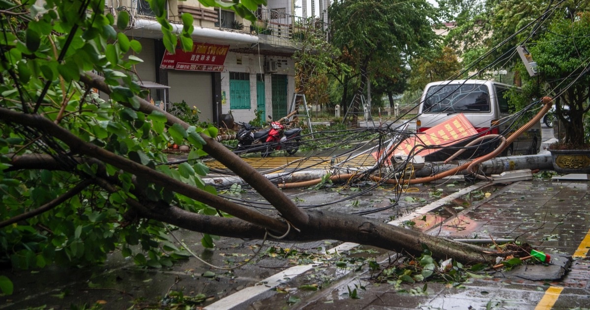 View - Cây đổ, rác thải bủa vây TP Móng Cái sau khi bão Yagi vào đất liền | Báo Dân trí