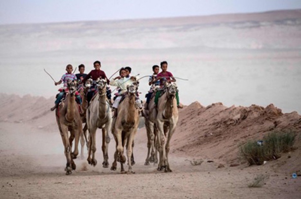 Đường đua các “chiến binh lưng gù” tại Sinai sôi động trở lại - 6