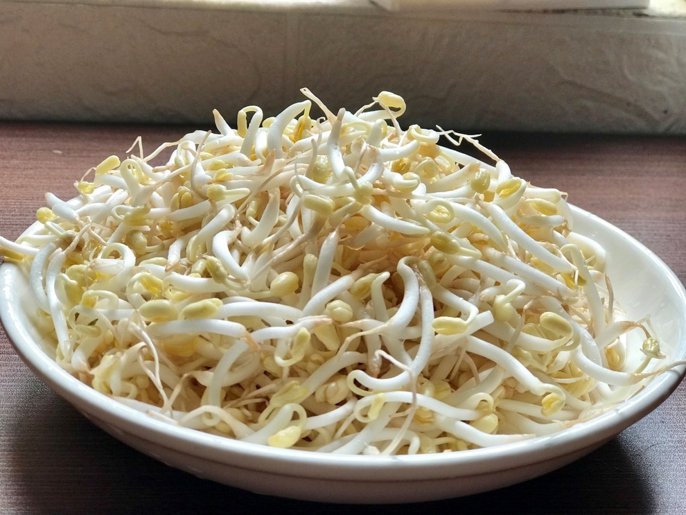 Tự trồng rau mầm, hành lá, giá đỗ để bổ sung vào mâm cơm mùa dịch - 9 Tự trồng rau mầm, hành lá, giá đỗ để bổ sung vào mâm cơm mùa dịch - 9