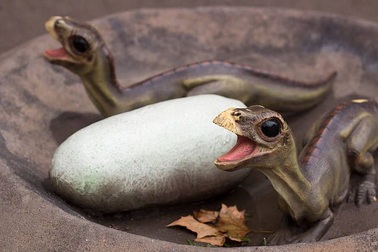 Phát hiện "vườn ươm khủng long" cách đây 70 triệu năm ở Bắc Cực