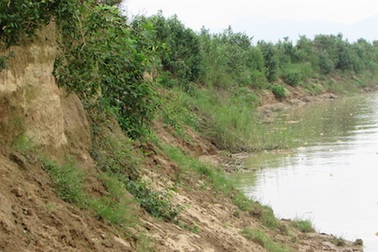 “Giặc cát” cày nát sông Lam