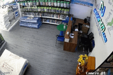 Kẻ trộm vào cửa hàng lấy điện thoại, ví tiền giữa ban ngày