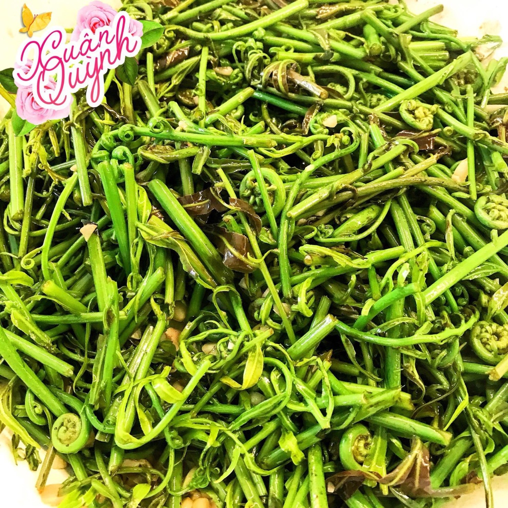 7 loại rau dân dã nhưng ngon khó cưỡng, chỉ có vào mùa nước nổi miền Tây - 11 7 loại rau dân dã nhưng ngon khó cưỡng, chỉ có vào mùa nước nổi miền Tây - 11