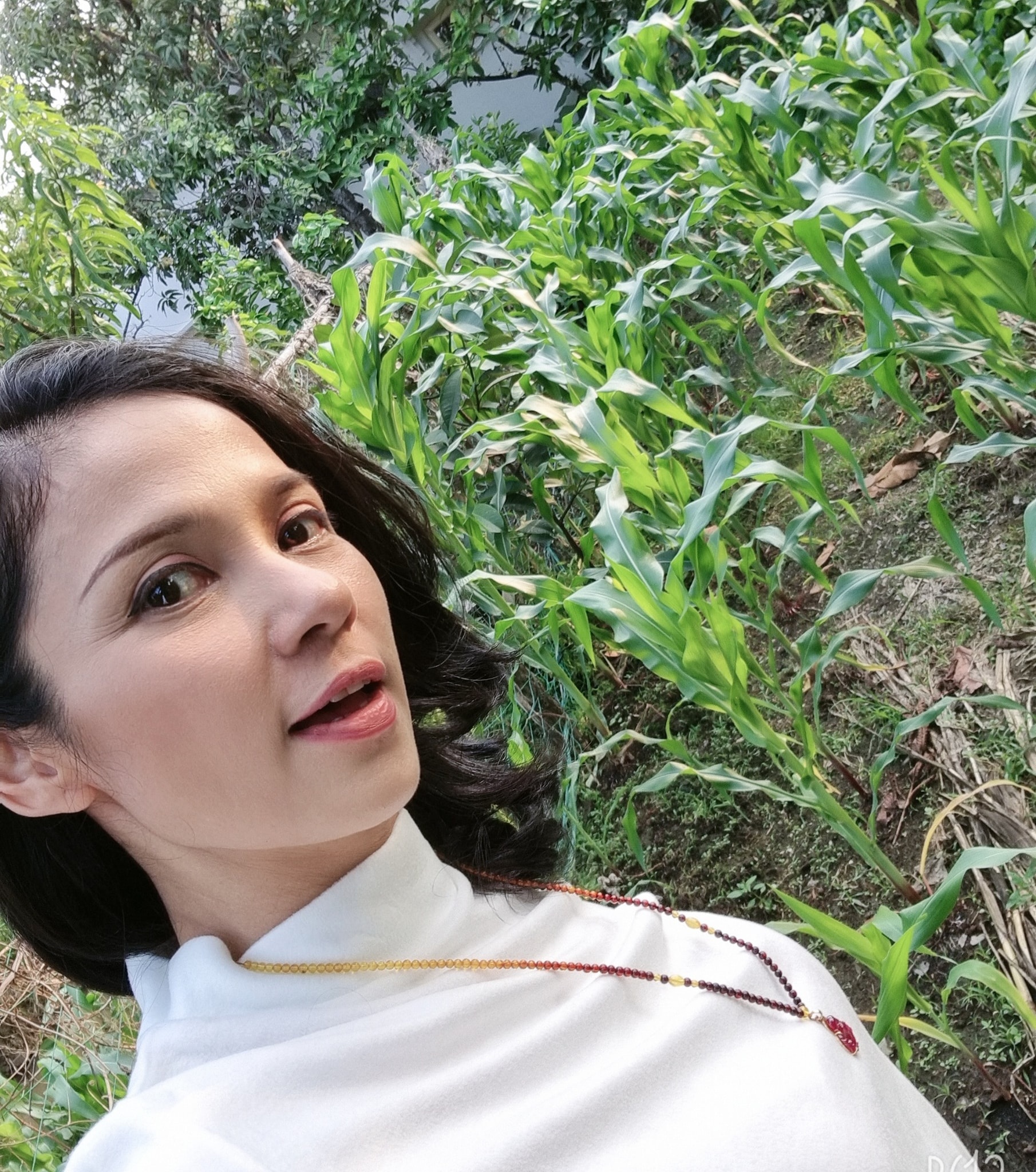 Nữ hoàng ảnh lịch Việt Trinh tuổi 52: Giảm 10kg, ở nhà vườn 2.500m2 - 9