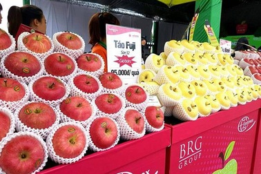 Táo sạch từ Nhật Bản chính vụ 2018 đã có mặt tại Việt Nam
