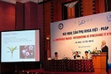 Những điều chưa biết về các thảo dược trẻ hóa “vùng kín”