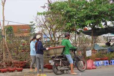 Kiếm dễ chục triệu bằng nghề chở kiểng ngày Tết