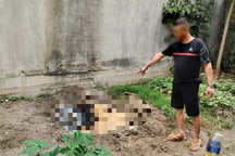 Thi thể thiếu nữ trong vườn và những vấn đề pháp lý