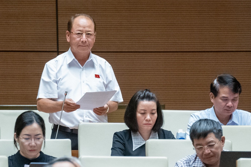 Đại biểu đề nghị miễn thuế cổ vật hồi hương - 2 Đại biểu đề nghị miễn thuế cổ vật hồi hương - 2