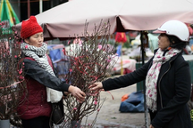 Hà Nội tổ chức 83 chợ hoa Tết