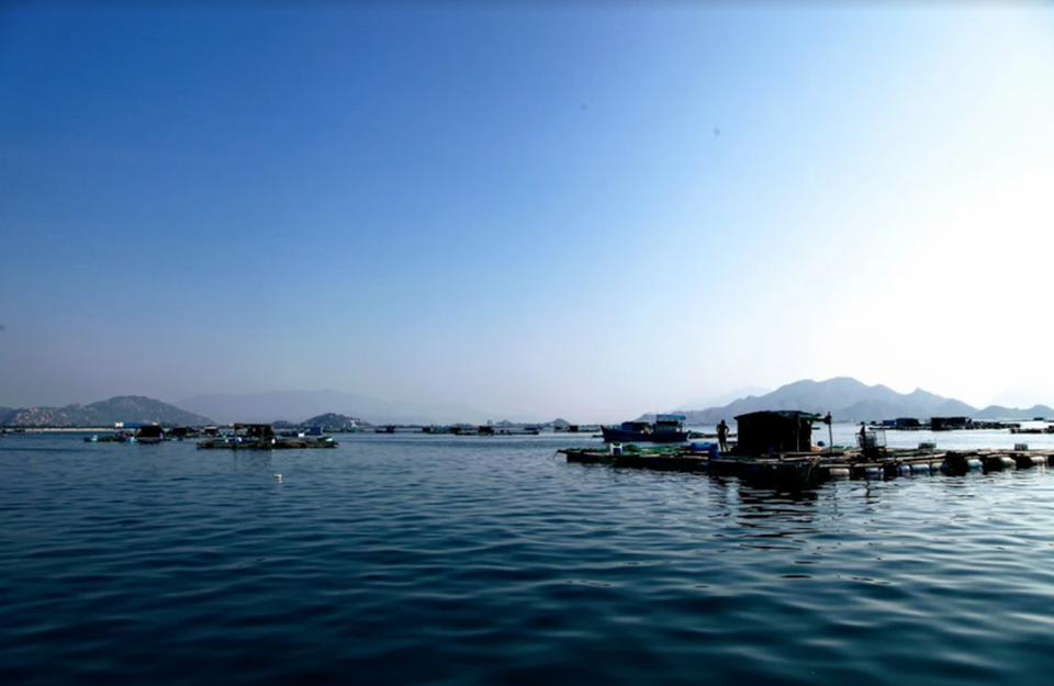 Về Ninh Thuận ra làng bè Đông Hải xem tắm cá - 7 Về Ninh Thuận ra làng bè Đông Hải xem tắm cá - 7