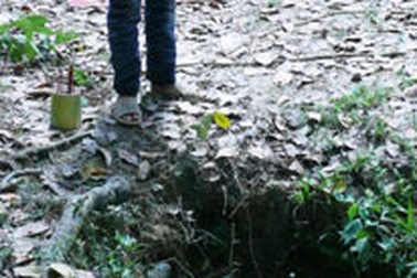 Cái chết bi thảm của người đàn bà bất hạnh sống kiếp nô lệ