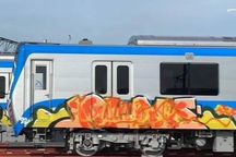 Người vẽ bậy lên tàu metro có bị xử lý hình sự?