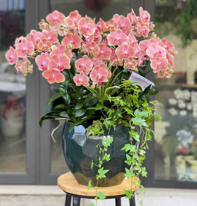 Hoa tươi luôn là một trong những món quà được nhiều người chọn lựa nhất vào các dịp lễ.