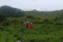 Thầy cô băng rừng tìm học sinh