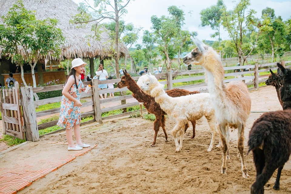 Khám phá thiên đường mùa hè kỳ thú tại Nghệ An - 3 Khám phá thiên đường mùa hè kỳ thú tại Nghệ An - 3