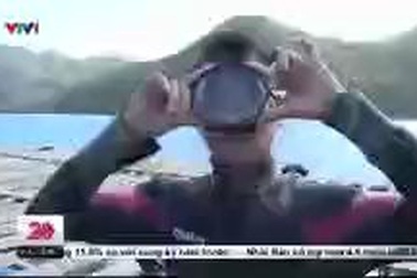 Khám phá nghề nuôi trai tại Côn Đảo