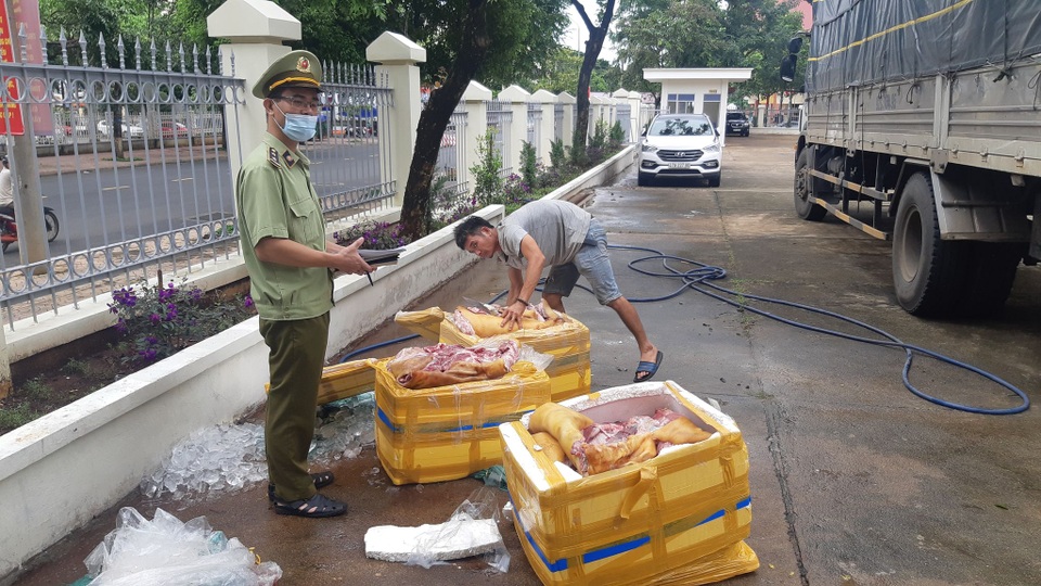Tuồn gần 3 tạ thịt lợn thối từ Quảng Ngãi vào Đắk Lắk tiêu thụ - 1 Tuồn gần 3 tạ thịt lợn thối từ Quảng Ngãi vào Đắk Lắk tiêu thụ - 1