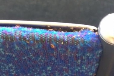 Hành khách kinh hoàng phát hiện cả đàn rệp bò ra từ ghế xe buýt