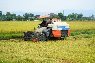 Thêm một người dân ở Hà Tĩnh bị sét đánh tử vong