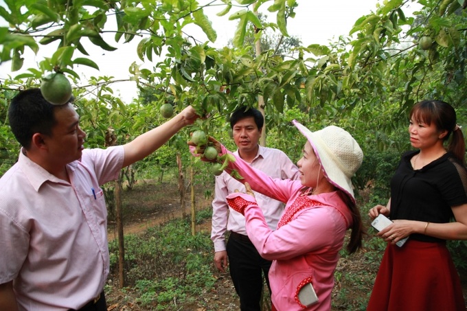 Người dân được vay vốn giải quyết việc làm, tại huyện Mộc Châu, Sơn La.