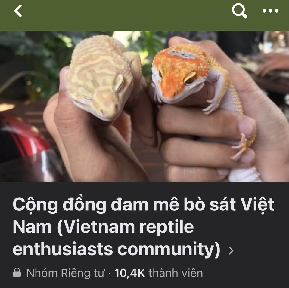 Trào lưu nuôi thú cưng là loài hoang dã, có độc: Đam mê thôi chưa đủ - 1 Trào lưu nuôi thú cưng là loài hoang dã, có độc: Đam mê thôi chưa đủ - 1