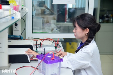 Bộ Giáo dục lên chương trình đào tạo 1.000 doanh nhân công nghệ xuất sắc