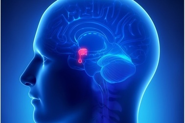 Các triệu chứng của khối u lành tính