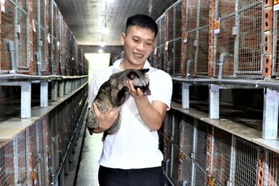 Không đi nước ngoài, chàng trai kiếm nửa tỷ đồng/năm từ đất quê vườn nhà