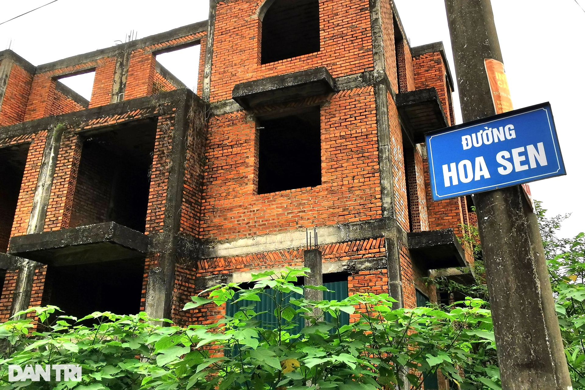 Loạt biệt thự bỏ hoang, là chỗ nuôi gà trong khu đô thị tuổi đời gần 20 năm - 10 Loạt biệt thự bỏ hoang, là chỗ nuôi gà trong khu đô thị tuổi đời gần 20 năm - 10