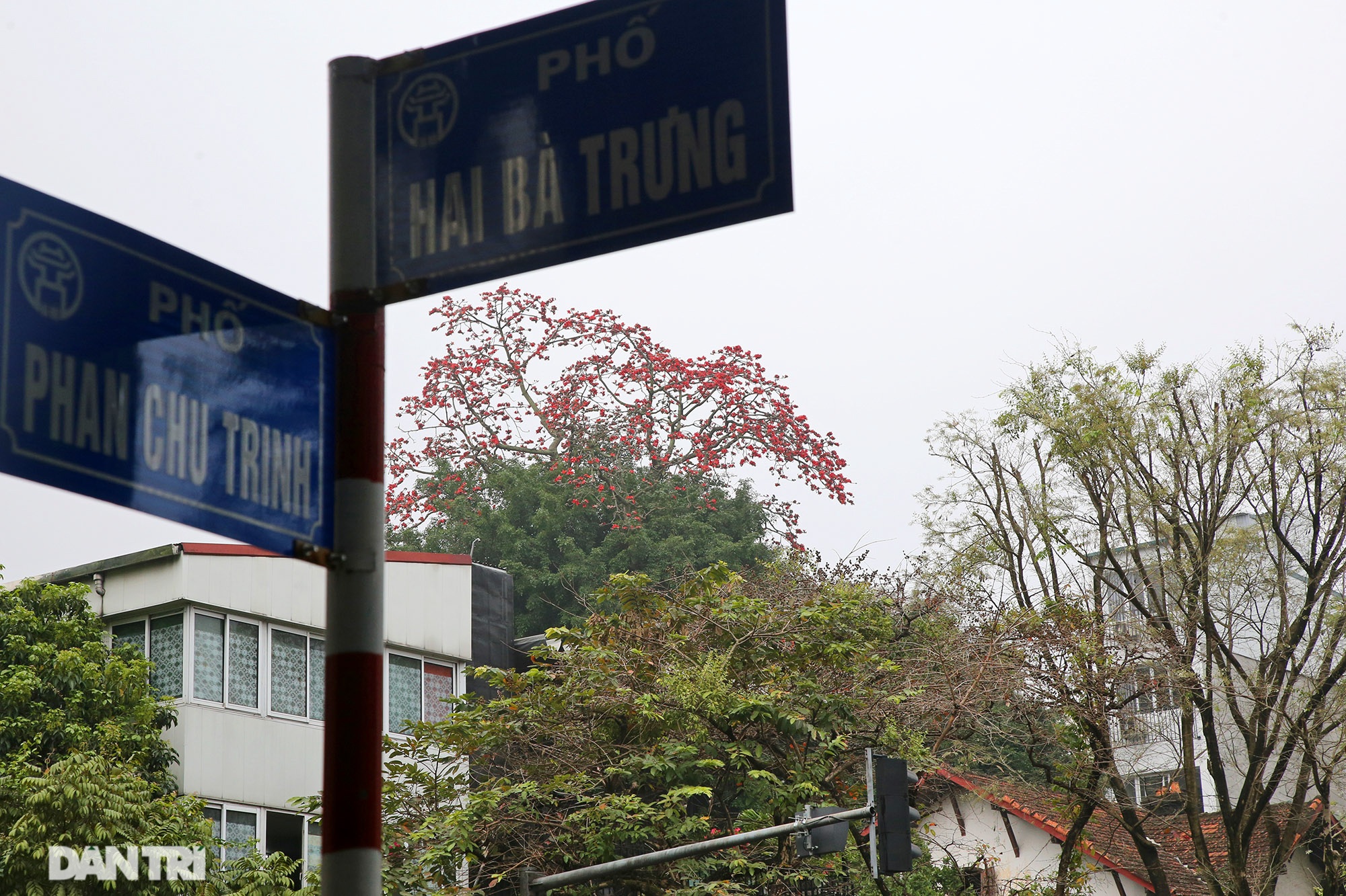 Mùa hoa gạo trong phố - 8 Mùa hoa gạo trong phố - 8
