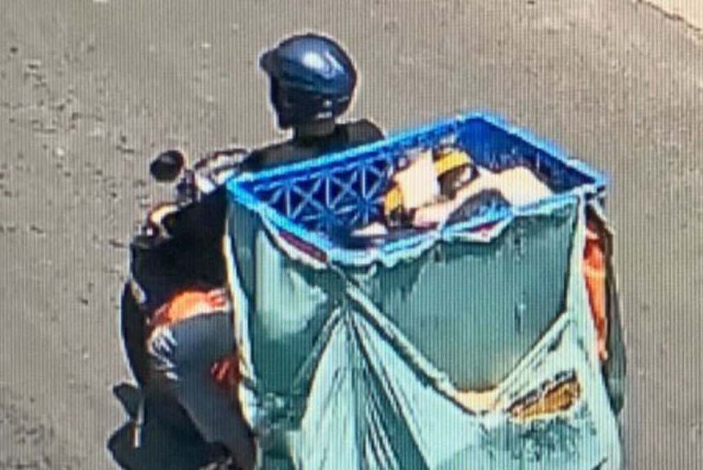 Hai anh em ruột trộm xe của shipper ở TPHCM, vứt bỏ 81 đơn hàng - 2 Hai anh em ruột trộm xe của shipper ở TPHCM, vứt bỏ 81 đơn hàng - 2